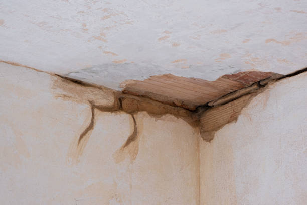 Best Residential water damage restoration  in Round Lake Heights, IL