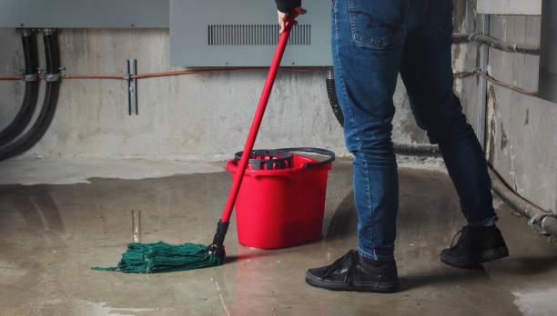 Best Water damage cleanup near me  in Round Lake Heights, IL
