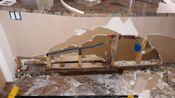 Best Emergency water damage restoration  in Round Lake Heights, IL