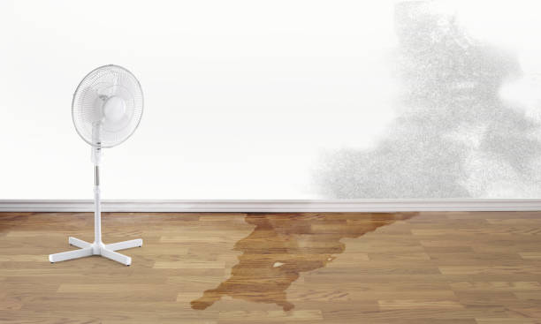  Round Lake Heights, IL Water damage restoration Pros