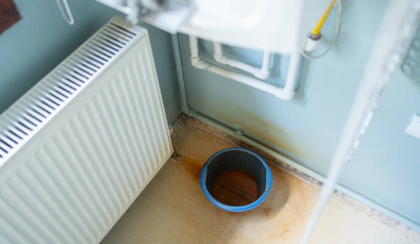 Best Commercial water damage restoration  in Round Lake Heights, IL