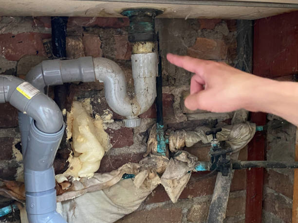 Best Carpet water damage restoration  in Round Lake Heights, IL