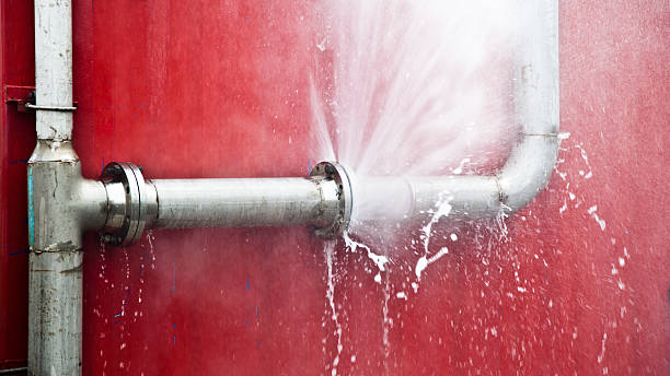 Best Water damage contractors near me  in Round Lake Heights, IL
