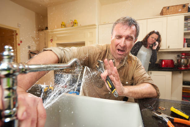 Best Flood restoration services  in Round Lake Heights, IL
